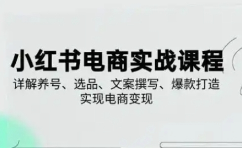 小红书从0-1实操课(2023-2025),详解养号、选品、文案撰写、爆款打造实现电商变现-青年云网创—高质量项目商城