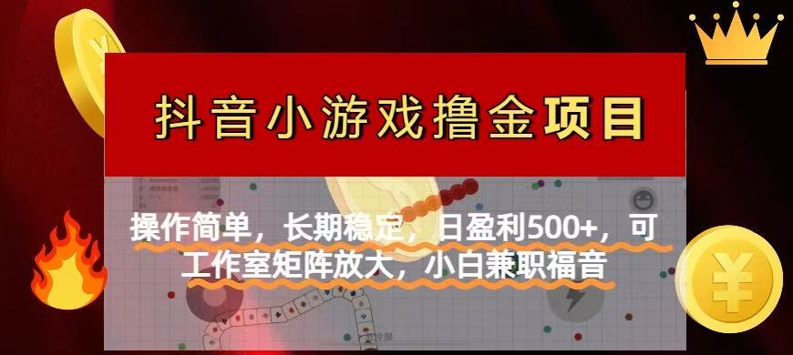 (14290期)【抖音小游戏发行人计划项目】操作简单,长期稳定,日盈利500+,可工作...-青年云网创—高质量项目商城